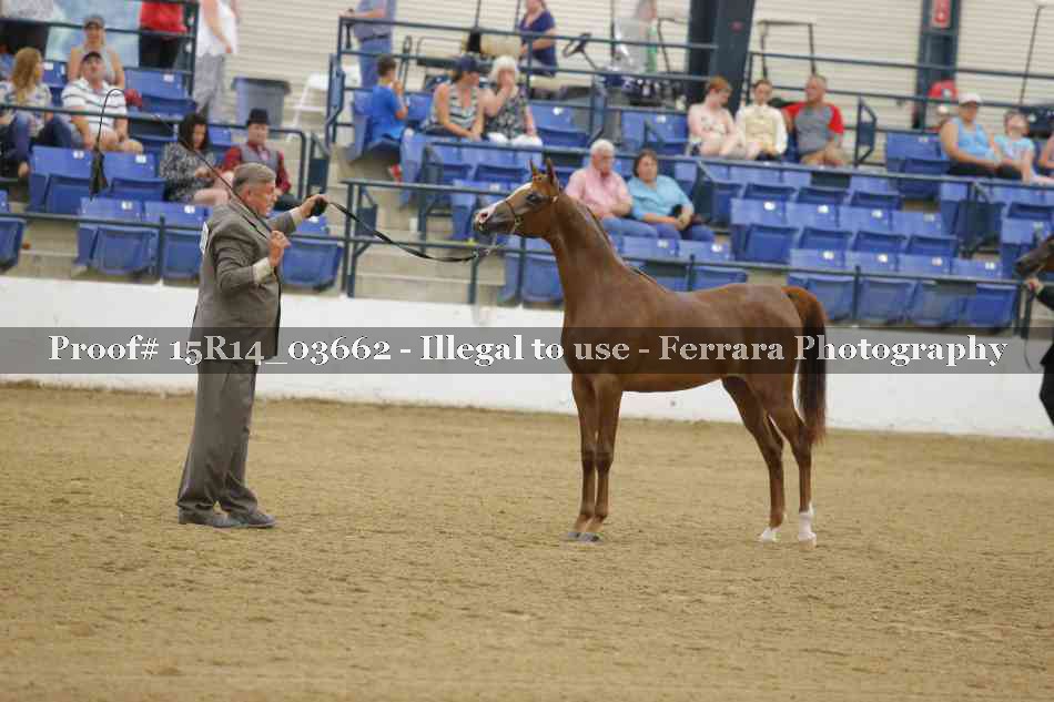 Proof Number 15R14_03662