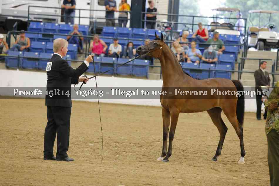 Proof Number 15R14_03663
