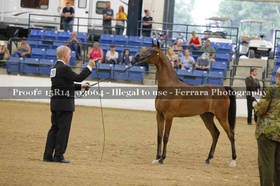 Proof Number 15R14_03664