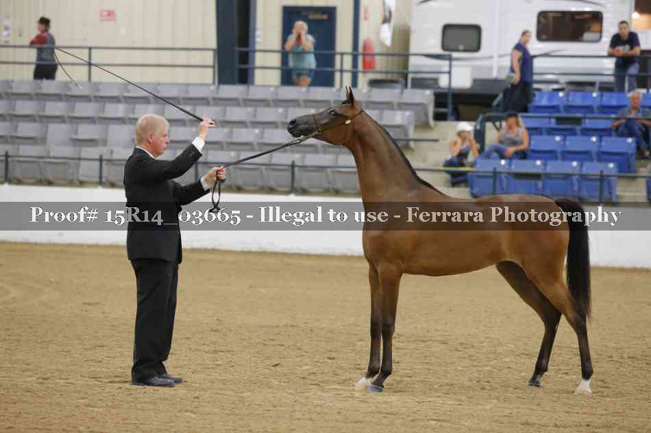 Proof Number 15R14_03665