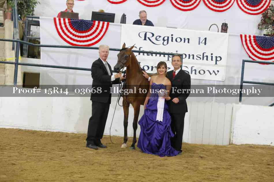 Proof Number 15R14_03668