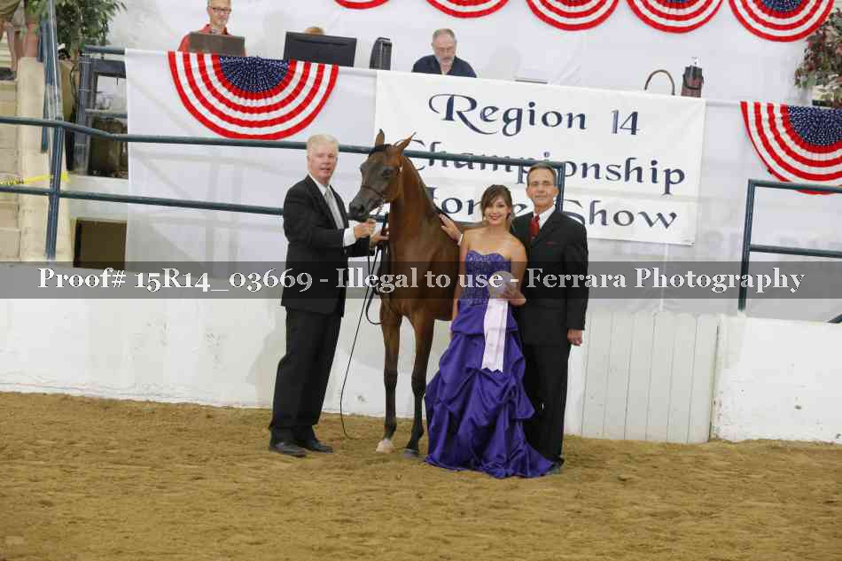 Proof Number 15R14_03669