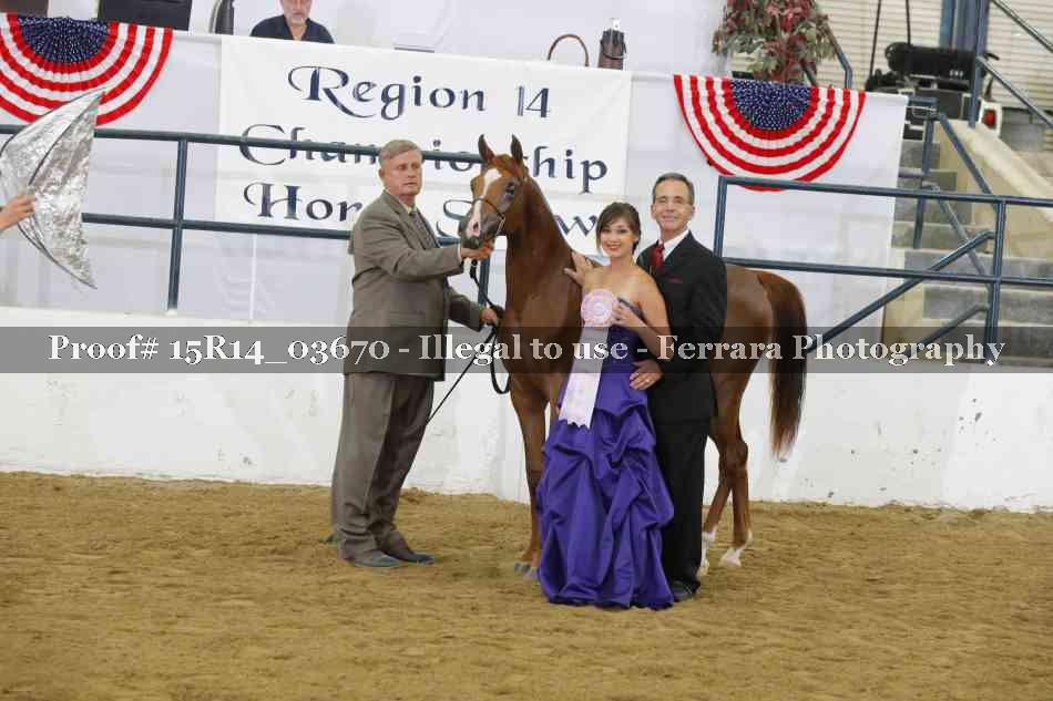 Proof Number 15R14_03670