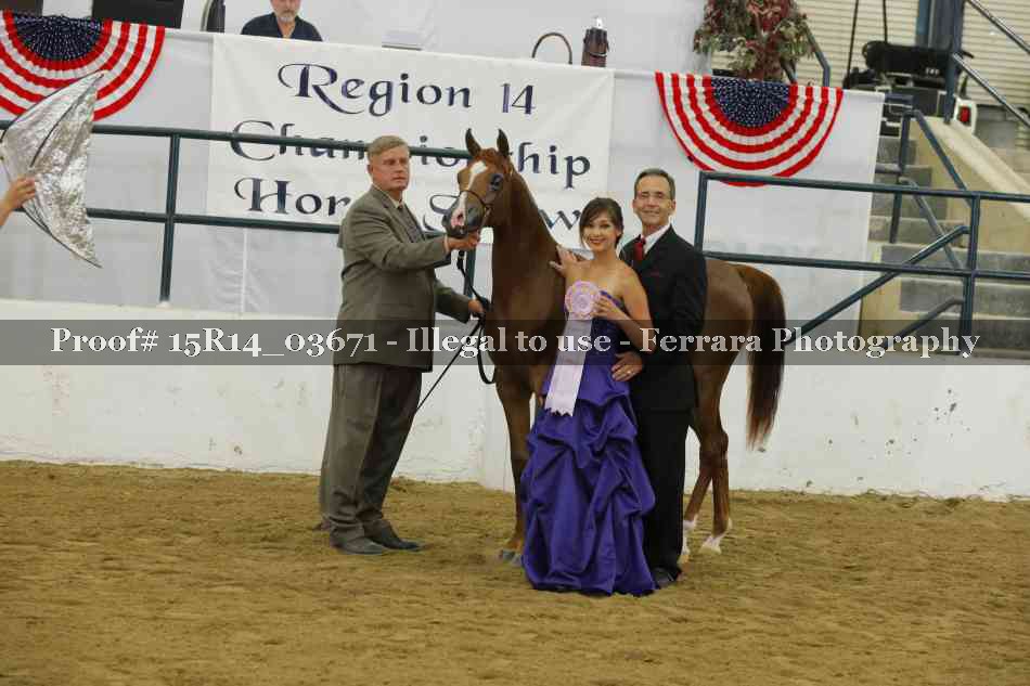 Proof Number 15R14_03671