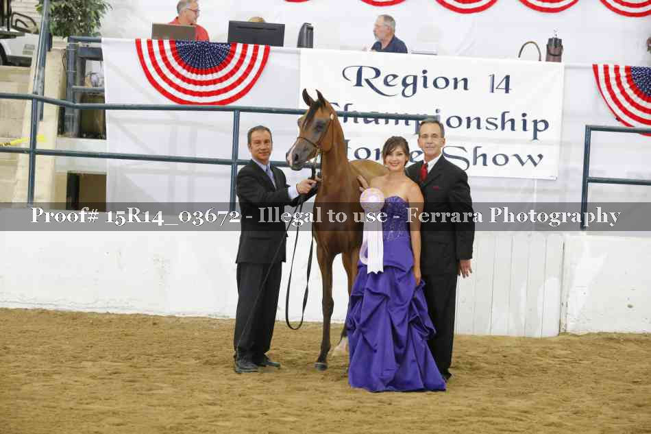Proof Number 15R14_03672