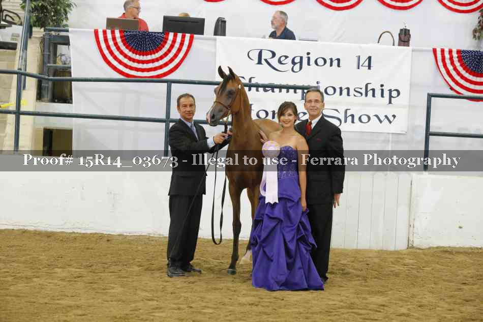 Proof Number 15R14_03673