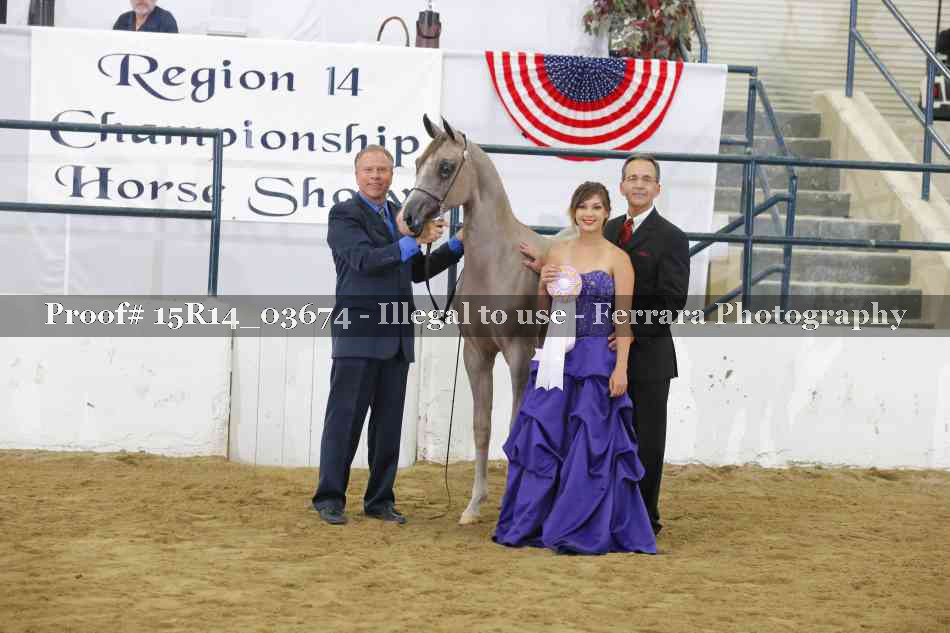 Proof Number 15R14_03674