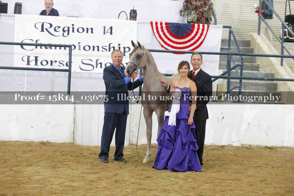 Proof Number 15R14_03675