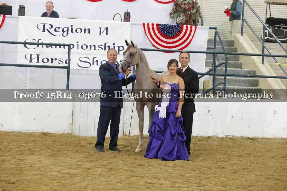 Proof Number 15R14_03676