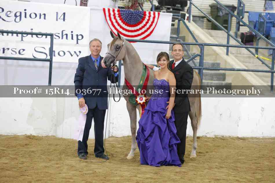 Proof Number 15R14_03677