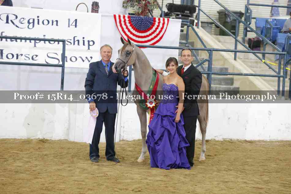 Proof Number 15R14_03678