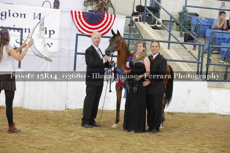 Proof Number 15R14_03680