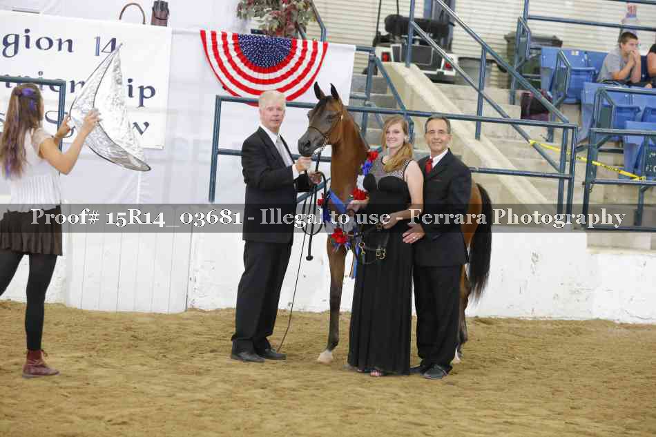 Proof Number 15R14_03681