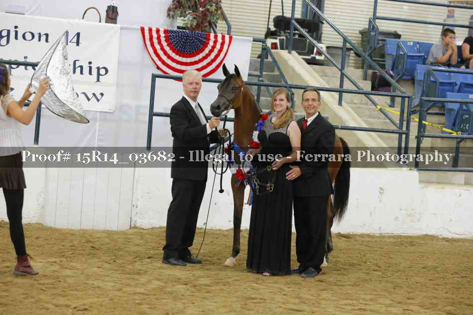 Proof Number 15R14_03682