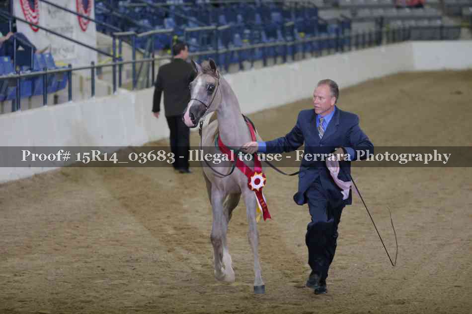 Proof Number 15R14_03683