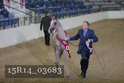 15R14_03683 thumbnail