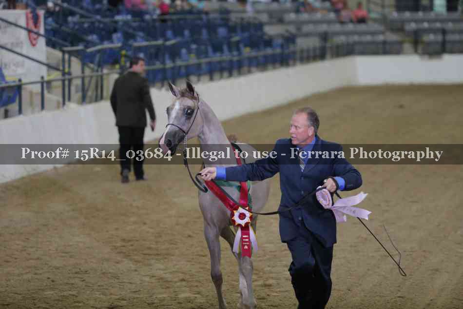 Proof Number 15R14_03684