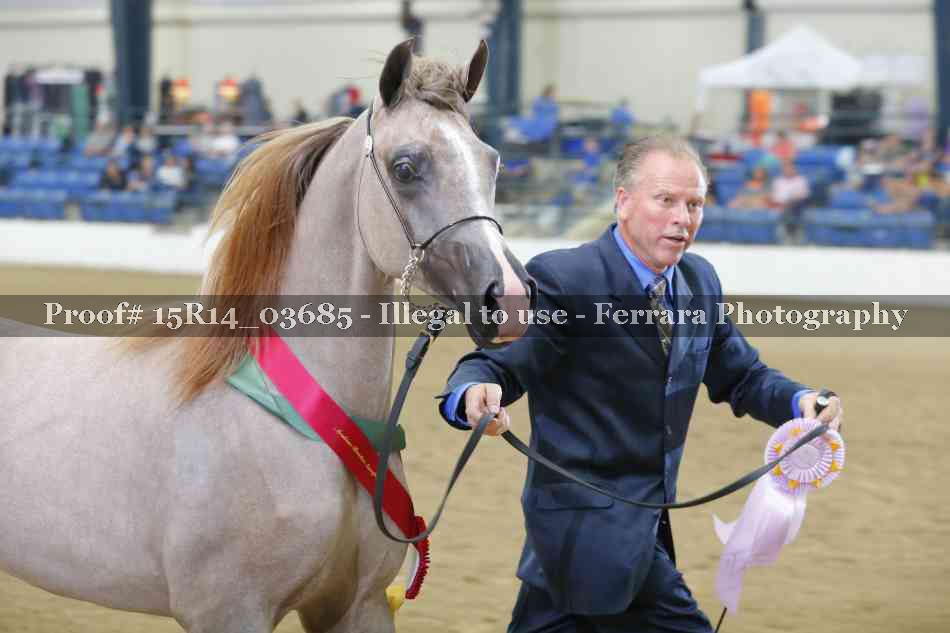 Proof Number 15R14_03685
