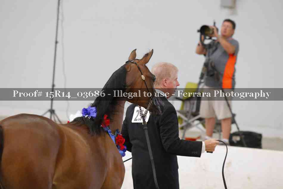 Proof Number 15R14_03686