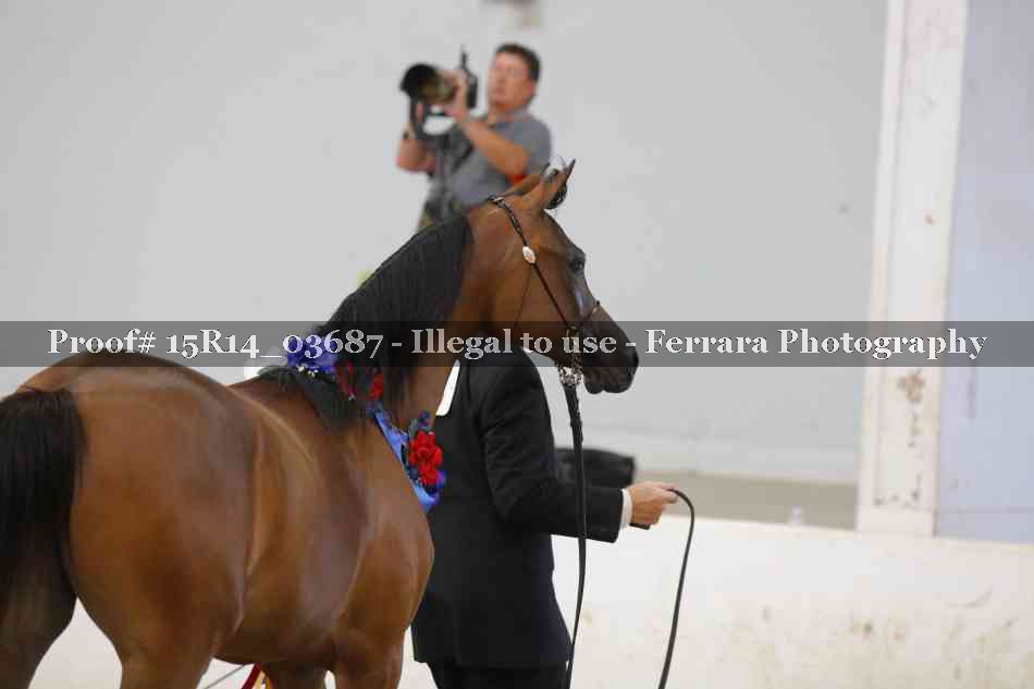 Proof Number 15R14_03687