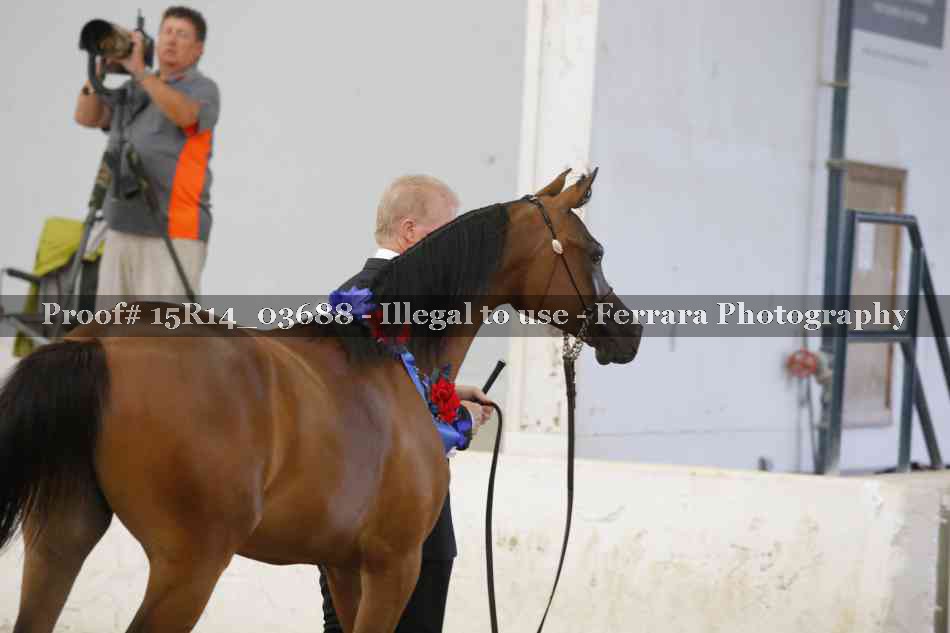 Proof Number 15R14_03688