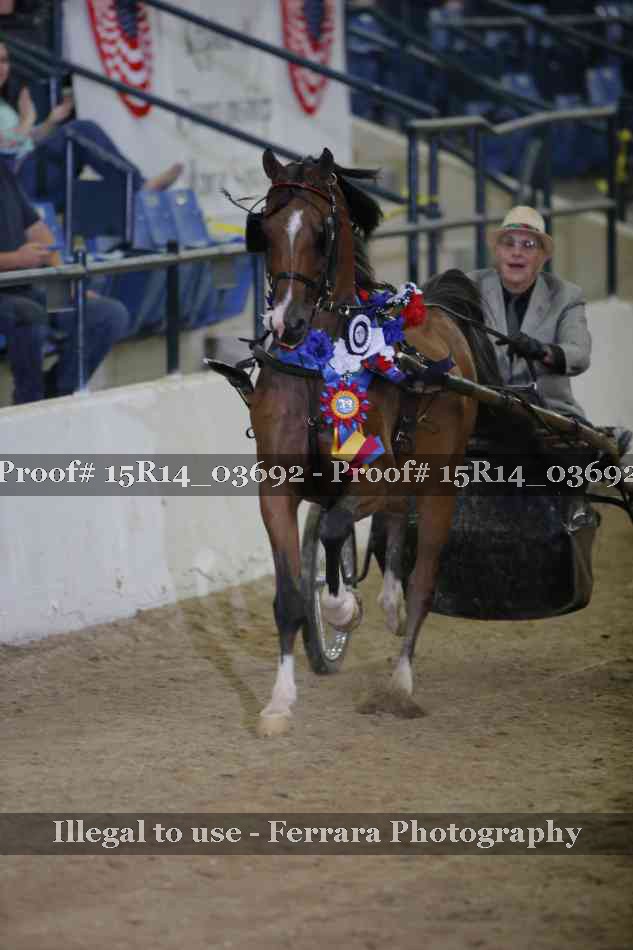 Proof Number 15R14_03692