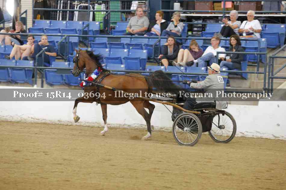 Proof Number 15R14_03694