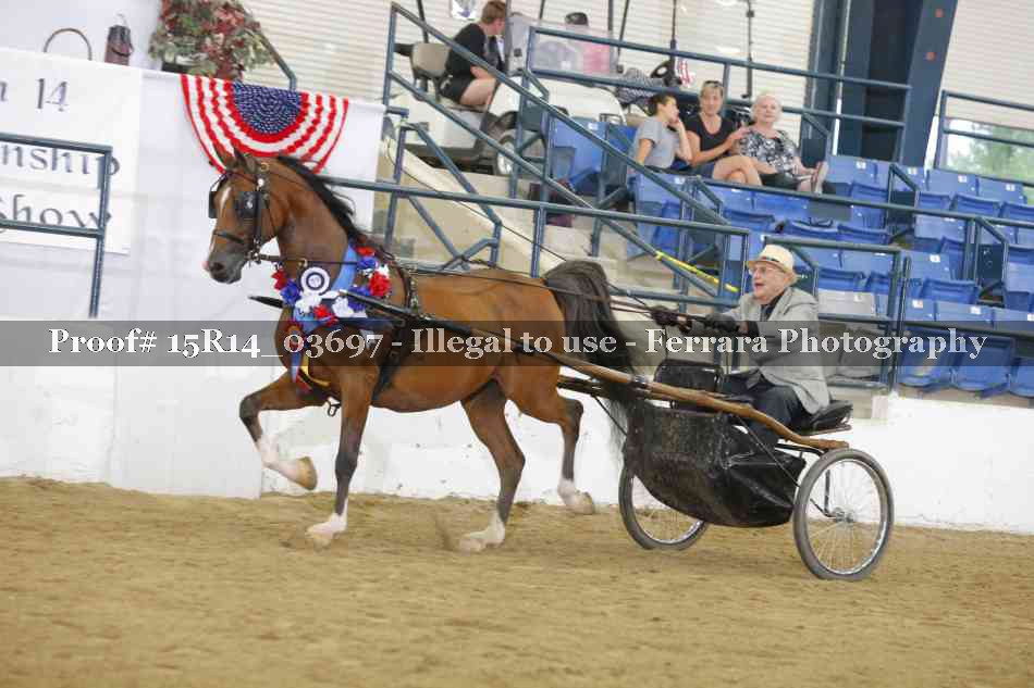Proof Number 15R14_03697