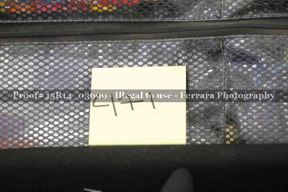 Proof Number 15R14_03699