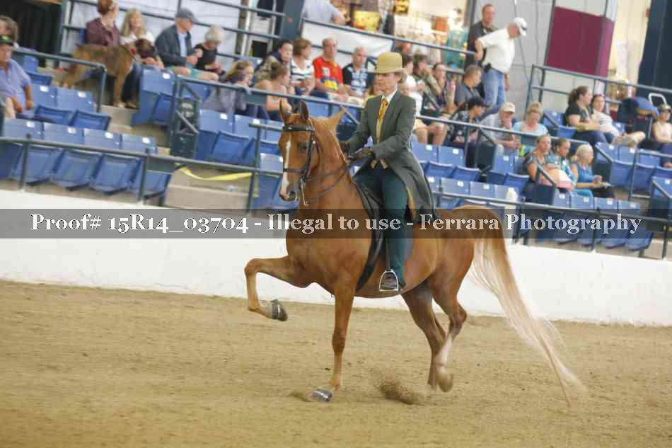 Proof Number 15R14_03704