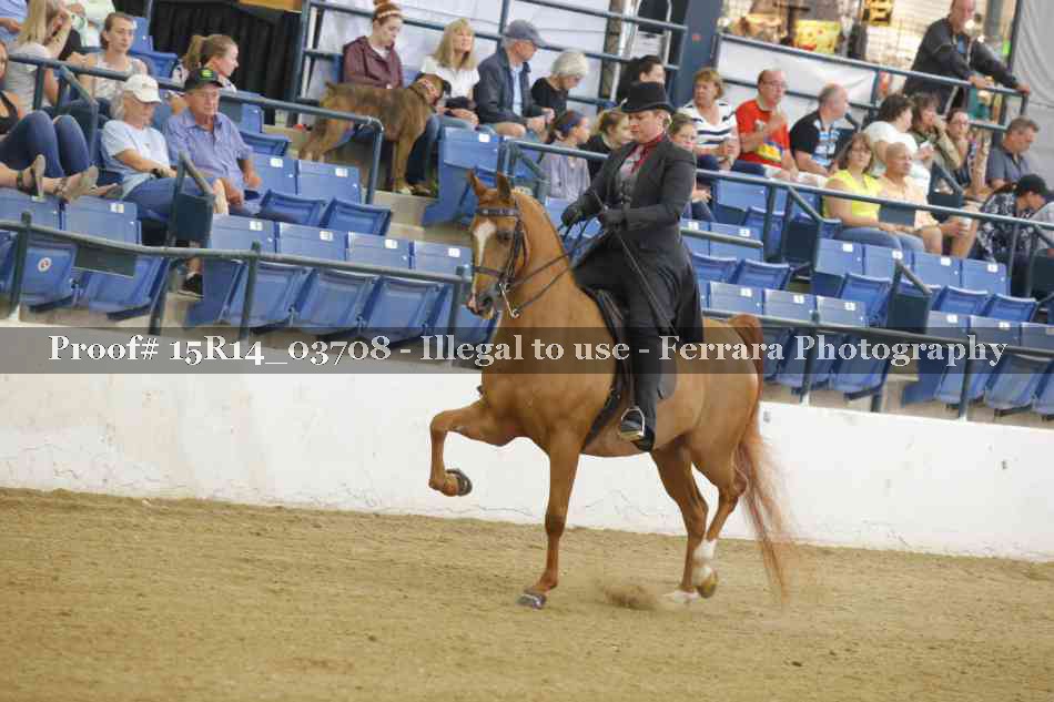 Proof Number 15R14_03708