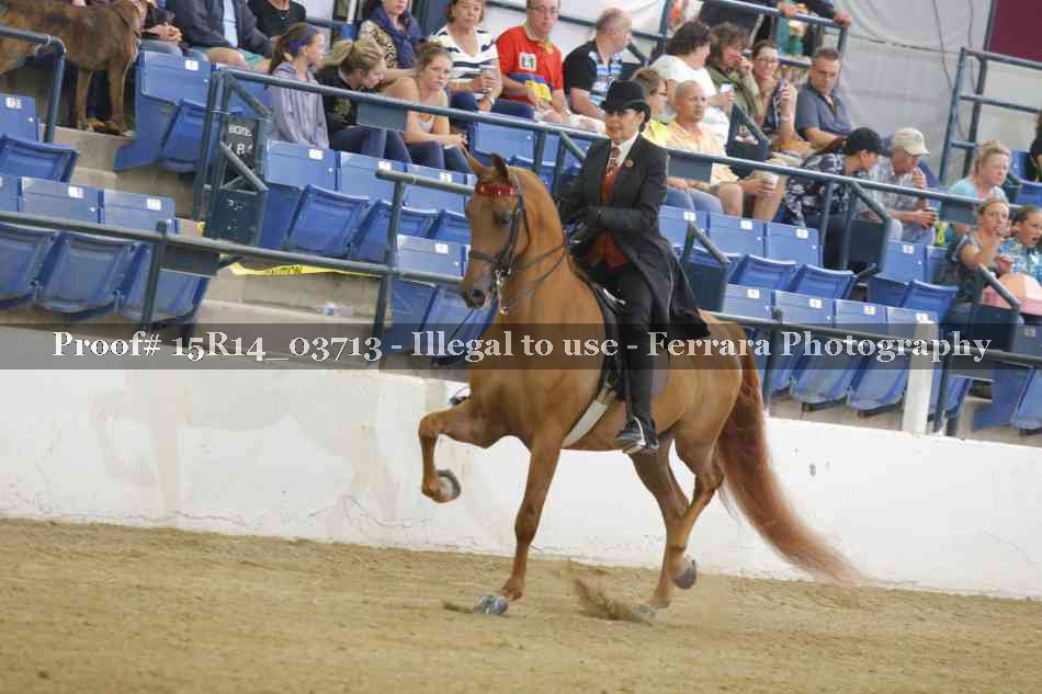 Proof Number 15R14_03713