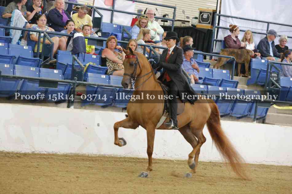 Proof Number 15R14_03714