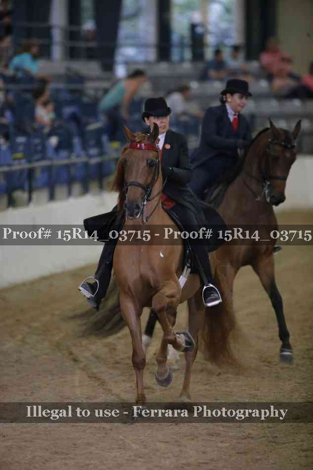 Proof Number 15R14_03715