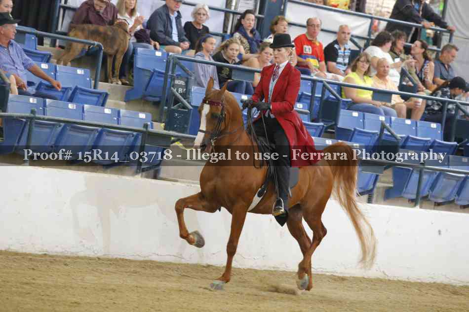 Proof Number 15R14_03718