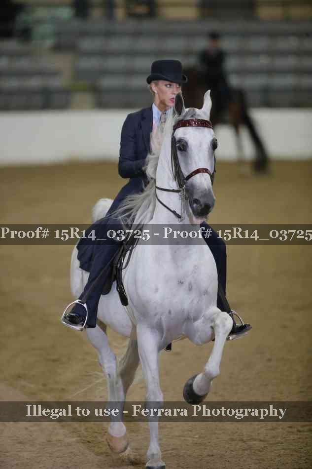 Proof Number 15R14_03725