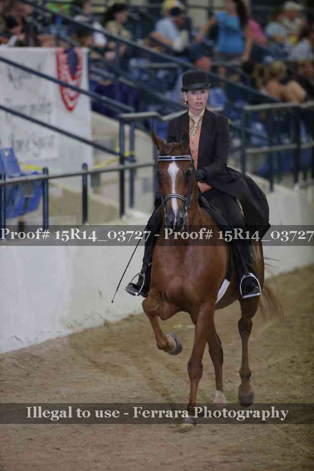 Proof Number 15R14_03727