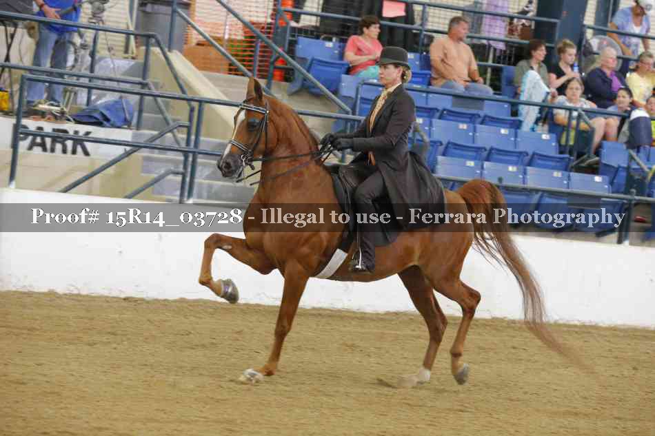 Proof Number 15R14_03728