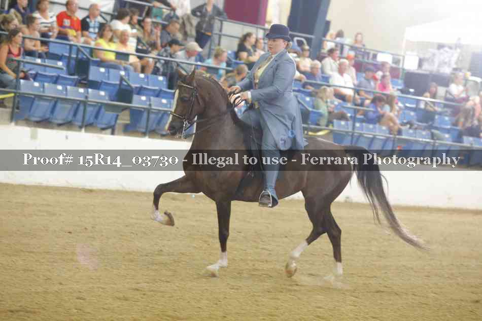 Proof Number 15R14_03730