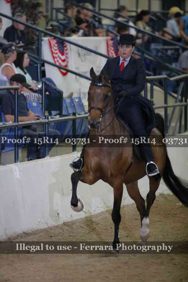Proof Number 15R14_03731