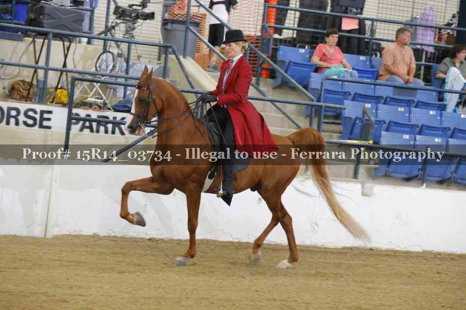 Proof Number 15R14_03734