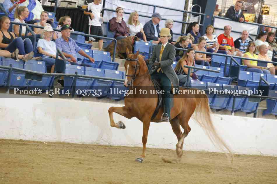 Proof Number 15R14_03735