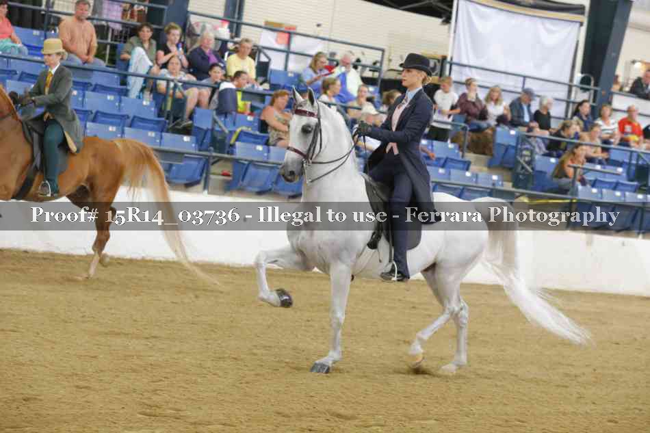 Proof Number 15R14_03736
