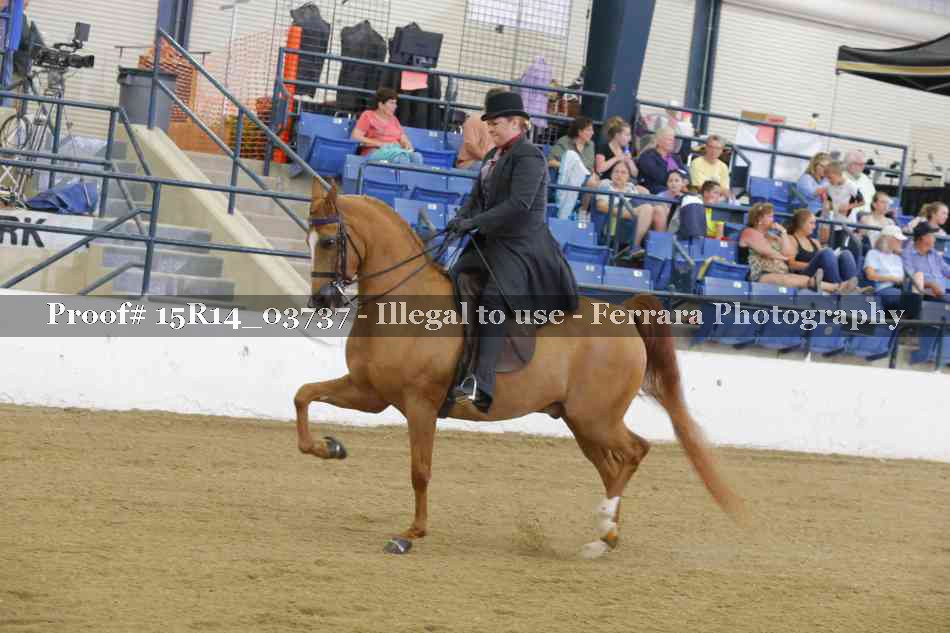 Proof Number 15R14_03737