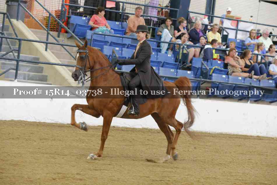 Proof Number 15R14_03738