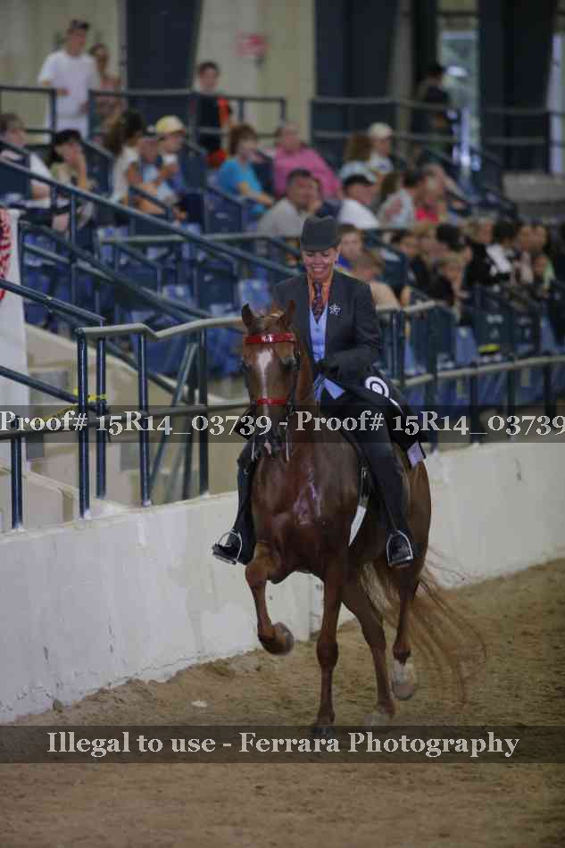 Proof Number 15R14_03739