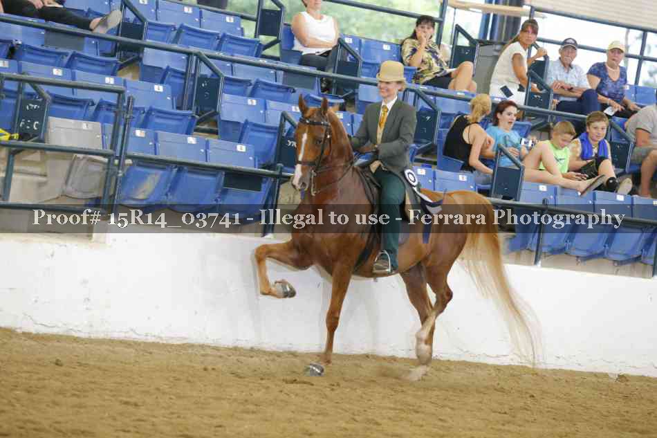 Proof Number 15R14_03741
