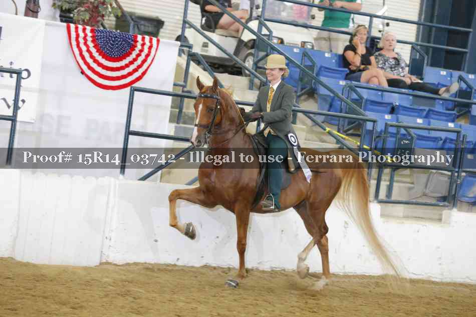 Proof Number 15R14_03742