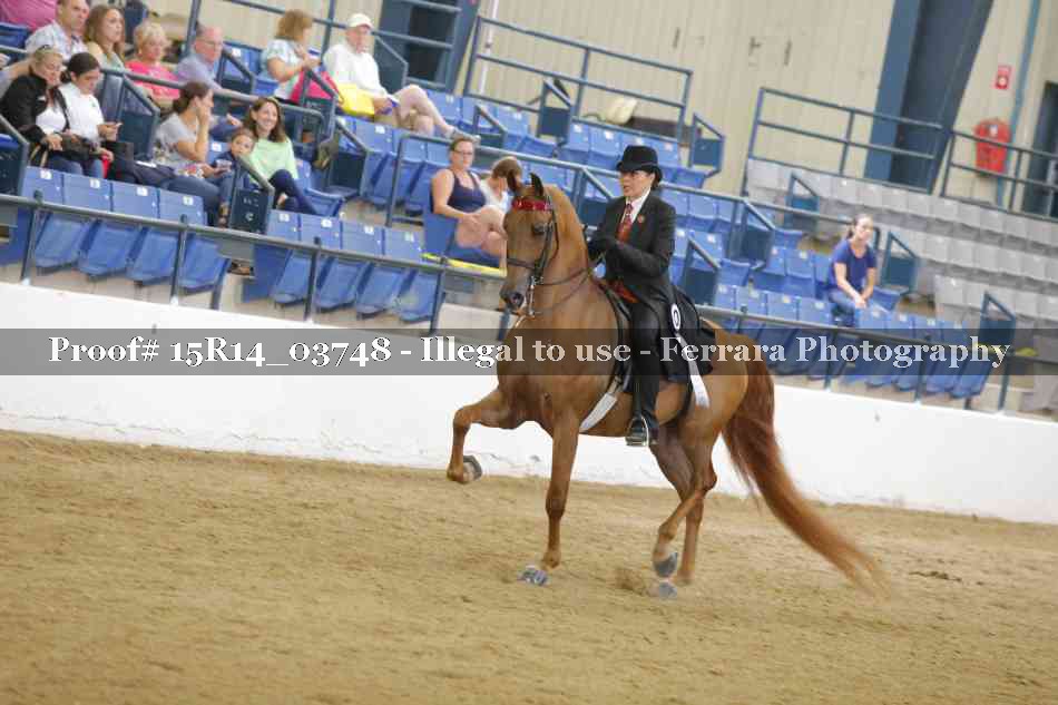 Proof Number 15R14_03748