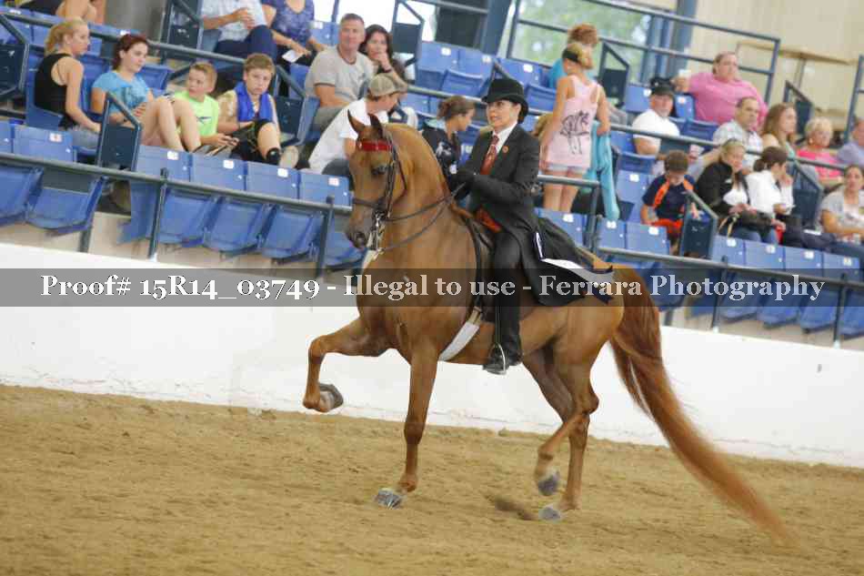 Proof Number 15R14_03749
